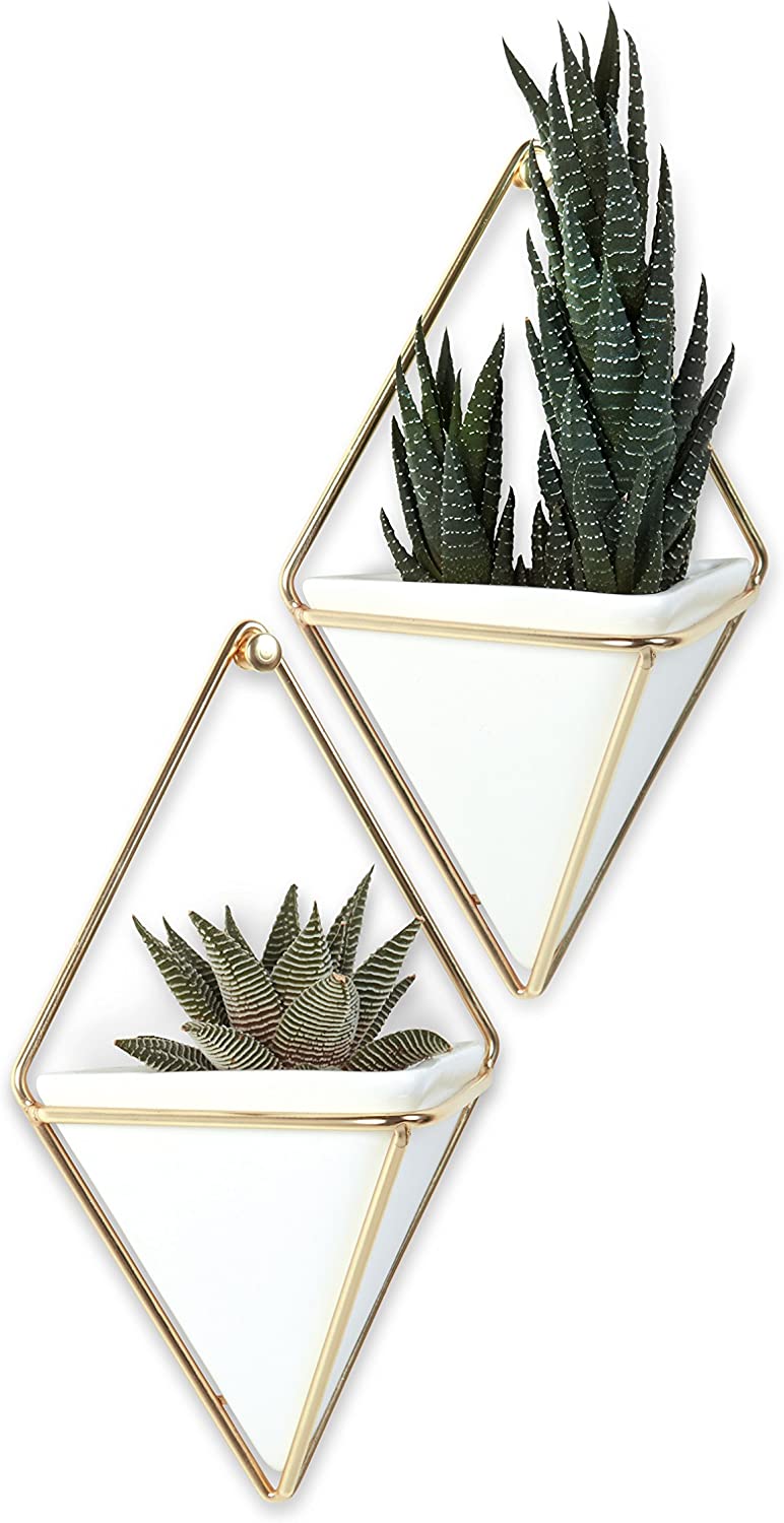Best Home Decor Items 2025: Elevate Your Space with Our Top Picks ... - Geometric Shaped Planters