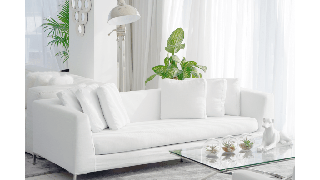 white timeless sofa